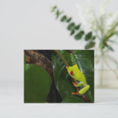 Red Eyes Frog On Stem Briefkaart (Staand voorkant)