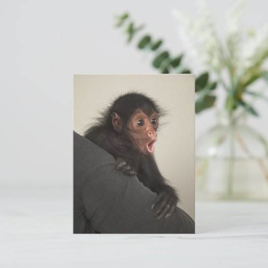 Red-faced Spider Monkey Ateles paniscus Briefkaart (Staand voorkant)