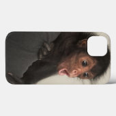 Red-faced Spider Monkey Ateles paniscus Case-Mate iPhone Case (Achterkant (horizontaal))