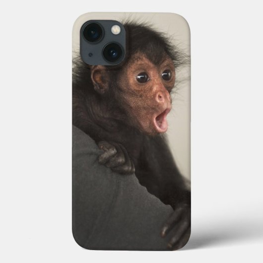 Red-faced Spider Monkey Ateles paniscus Case-Mate iPhone Case (Achterkant)