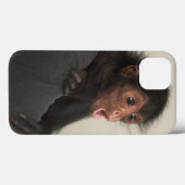 Red-faced Spider Monkey Ateles paniscus Case-Mate iPhone Case (Achterkant (horizontaal))