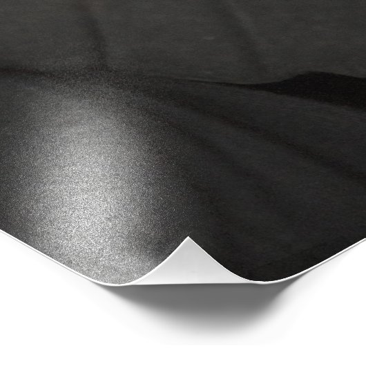 Red-faced Spider Monkey Ateles paniscus Foto Afdruk (Hoek)