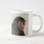 Red-faced Spider Monkey Ateles paniscus Grote Koffiekop (Rechts)