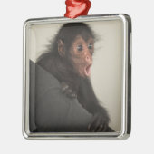 Red-faced Spider Monkey Ateles paniscus Metalen Ornament (Links)