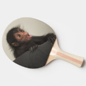 Red-faced Spider Monkey Ateles paniscus Tafeltennisbatje (Zijkant)