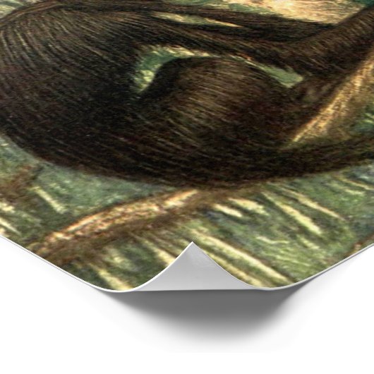 Red Faced Spider Monkeys door Louis Sargent Poster (Hoek)