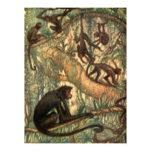 Red Faced Spider Monkeys door Louis Sargent
