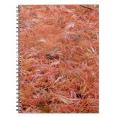 Red Fallen Autumn Notitieblok Notitieboek (Voorkant)