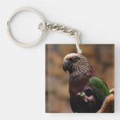 Red Fan Parrot Sleutelhanger (voorkant)