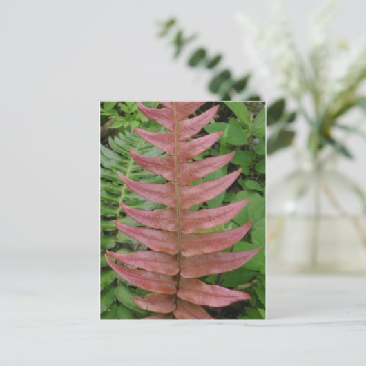Red Fern Briefkaart (Staand voorkant)