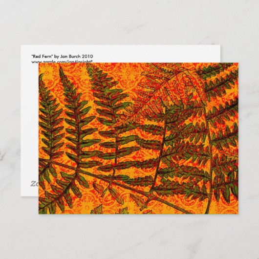 Red Fern briefkaart (Voorkant / Achterkant)