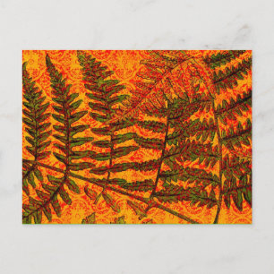 Red Fern briefkaart