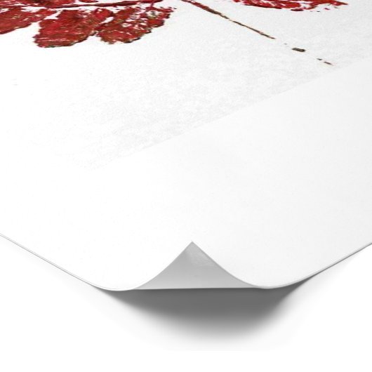 Red Fern Poster (Hoek)