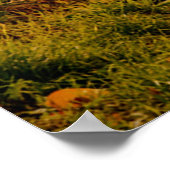 Red Fiat 500, Cinquecento, Italië Poster (Hoek)