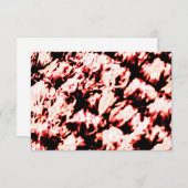 Red Fibers Print (Voorkant / Achterkant)