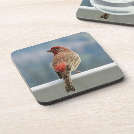 Red Finch Checking out the View. Bier Onderzetter (Linkerzijde)