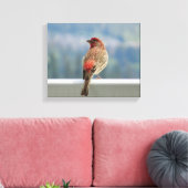 Red Finch Checking out the View. Canvas Afdruk (Insitu (Woonkamer))