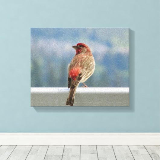 Red Finch Checking out the View. Canvas Afdruk (Insitu (Houten vloer))