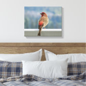 Red Finch Checking out the View. Canvas Afdruk (Insitu (Slaapkamer))