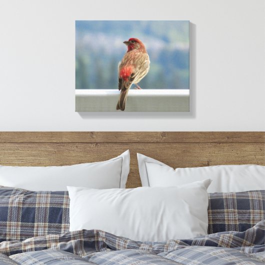 Red Finch Checking out the View. Canvas Afdruk (Insitu (Slaapkamer))