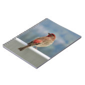 Red Finch Checking out the View. Notitieboek (Linkerzijde)