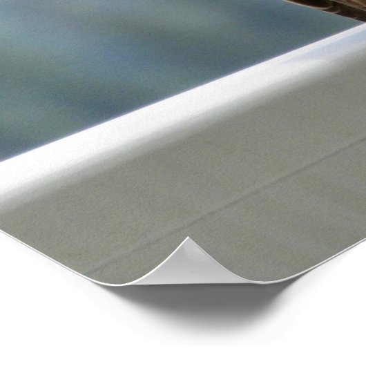 Red Finch Checking out the View. Poster (Hoek)