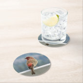 Red Finch Checking out the View. Ronde Kartonnen Onderzetter (Insitu)