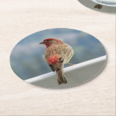 Red Finch Checking out the View. Ronde Kartonnen Onderzetter (Gebogen)