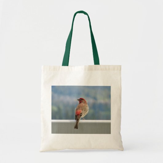 Red Finch Checking out the View. Tote Bag (Voorkant)