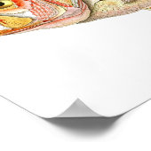 Red Fish Antiek Fish Print nr. 6 Beach Decor (Hoek)