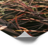 Red Fishhaakcilinders - Glossy Print 23x23 (Hoek)