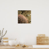 Red Fishhaakcilinders - Glossy Print 23x23 (Keuken)