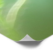 Red Flanders Poppy Poster (Hoek)