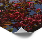 Red Floral Blossom 1 Poster (Hoek)