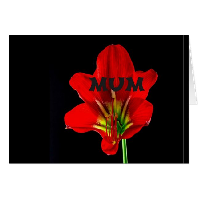 Red Floral Mum (Voorkant Horizontaal)