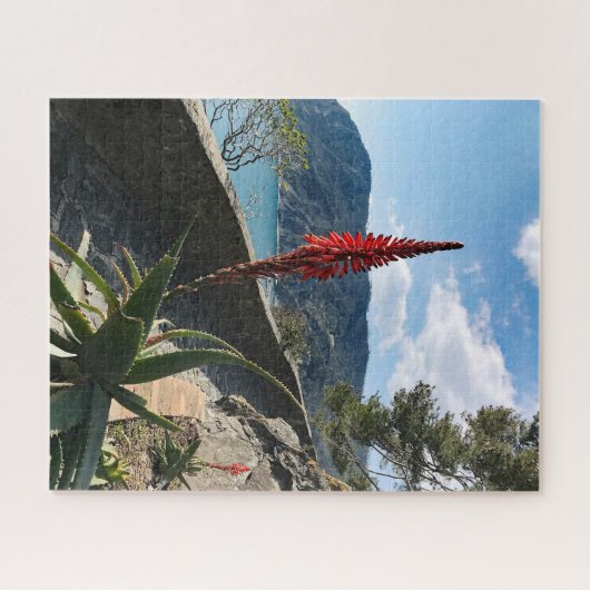 Red Flower Blue Zee Rocky Cliffs Puzzle Legpuzzel (Horizontaal)