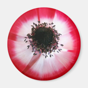 Red Flower Center Magnet