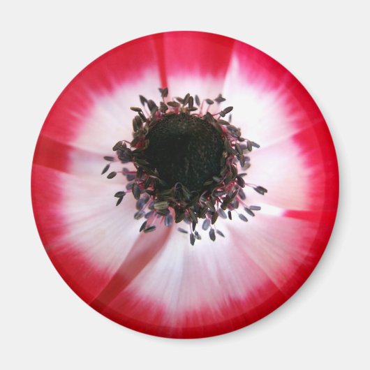 Red Flower Center Magnet (Voorkant)