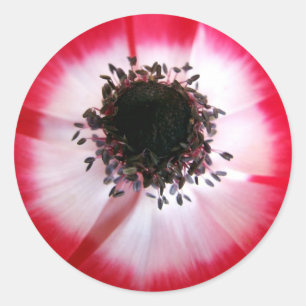 Red Flower Center Sticker