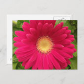 Red Flower Frameable Post Card 7x5 Briefkaart (Voorkant / Achterkant)