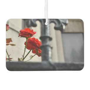 Red Flower Iron Gate New York City Fotografie NYC Luchtverfrisser
