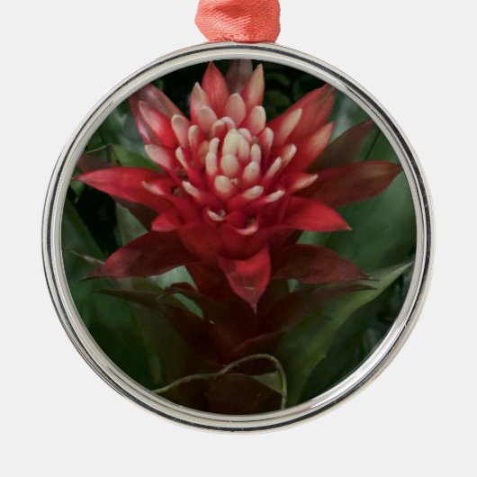 Red Flower Ornament (Voorkant)