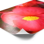 Red Flower Print Foto Afdruk (Hoek)