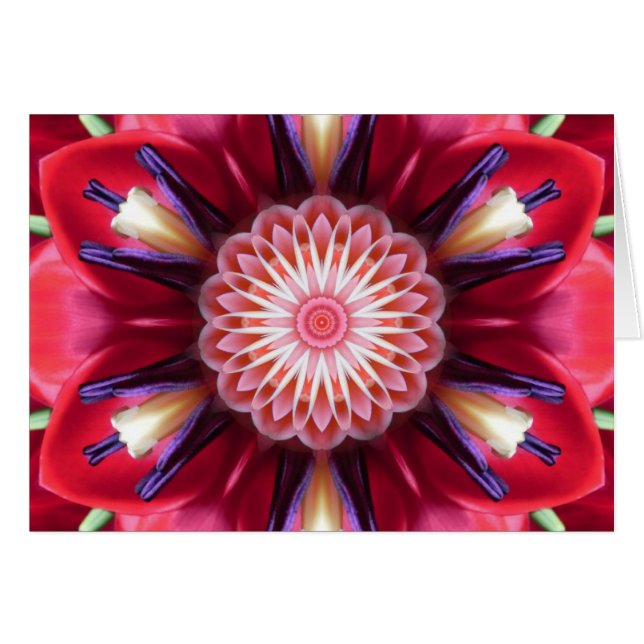 Red Flower Star Mandala-kaart (Voorkant Horizontaal)