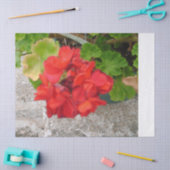 red flower tissue paper tissuepapier (Craft)