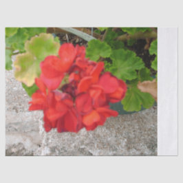 red flower tissue paper tissuepapier