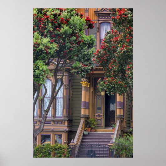 Red Flowering Gum Tree Frames Victorian Style Poster (Voorkant)