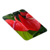Red Flowers 3"x4" Magnet Magneet (Rechterzijde)