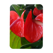 Red Flowers 3"x4" Magnet Magneet (Verticaal)