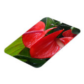 Red Flowers 3"x4" Magnet Magneet (Linkerzijde)